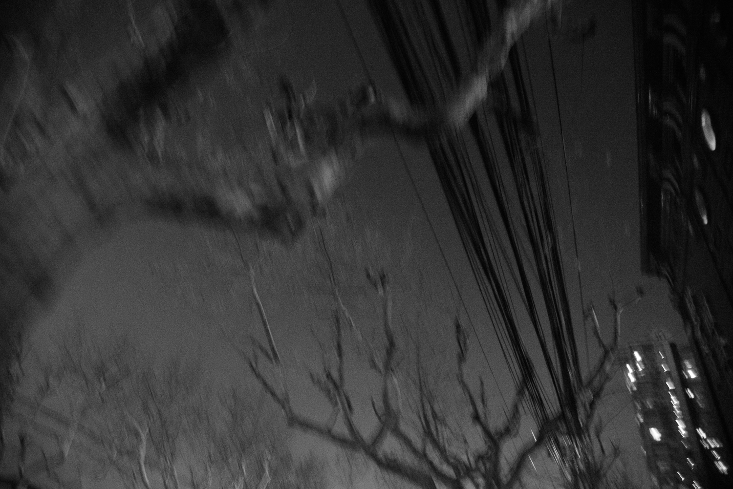 上海 2020 image 78
